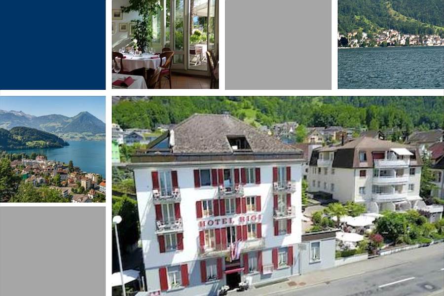 Hotel Rigi AG 